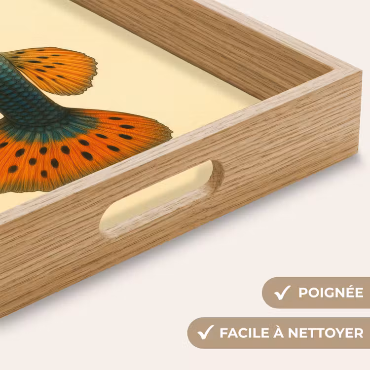 Plateau - Poisson - illustration - Points - Orange — 8
