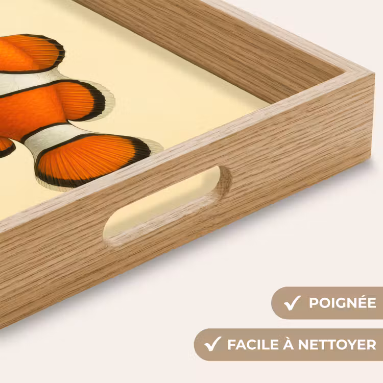 Plateau - Poisson - Orange - Rayures — 8