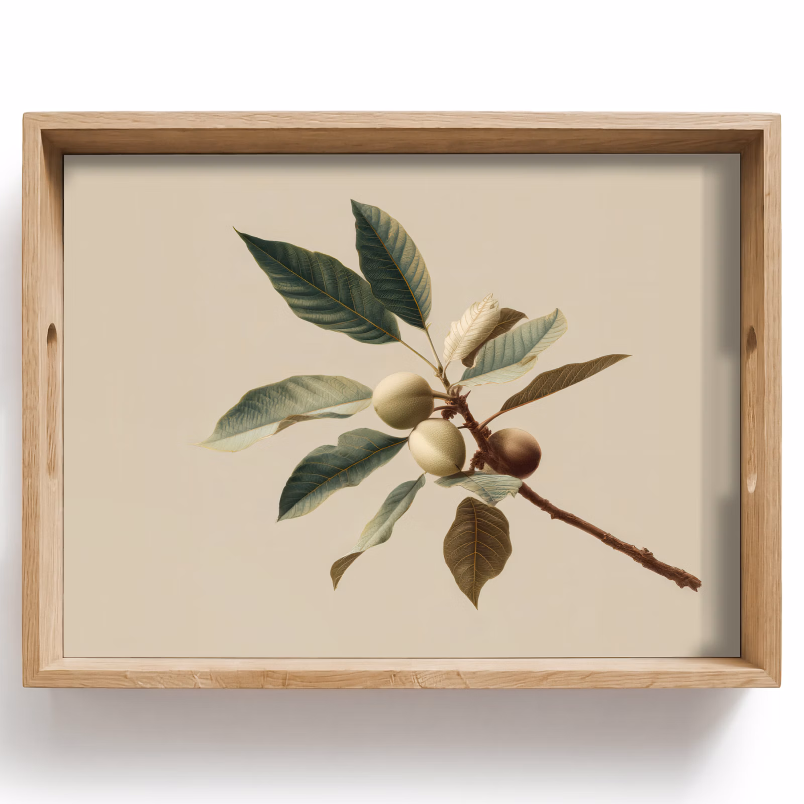 Plateau - Branche - Feuilles vertes - Fruits — 1