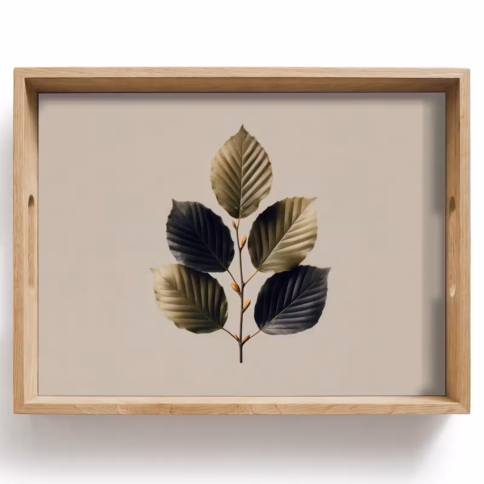 Plateau - Feuilles de hêtre - Marron - Vert - neutre — 1