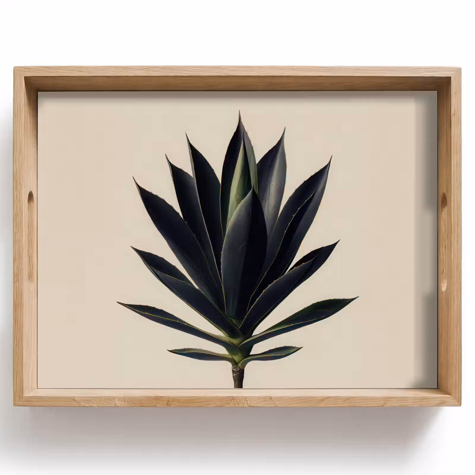 Plateau - Agave - Symétrique - Vert — 1