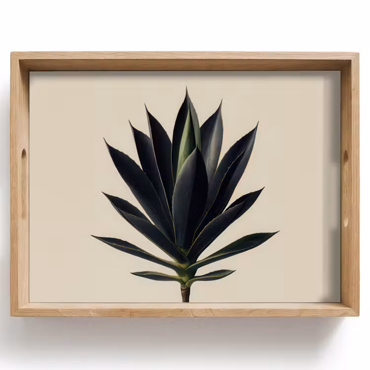 Plateau - Agave - Symétrique - Vert — 1