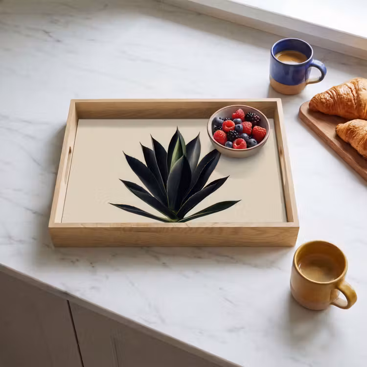 Plateau - Agave - Symétrique - Vert — 3