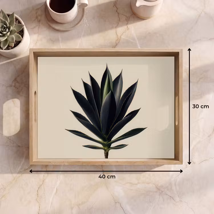 Plateau - Agave - Symétrique - Vert — 7