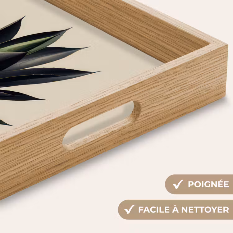 Plateau - Agave - Symétrique - Vert — 8