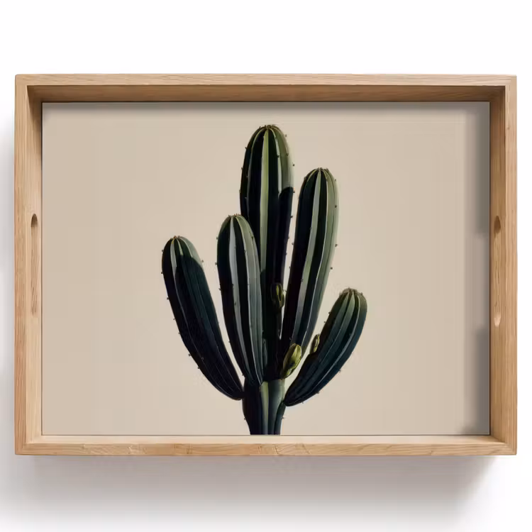 Plateau - Cactus - Subtil - Vert — 1