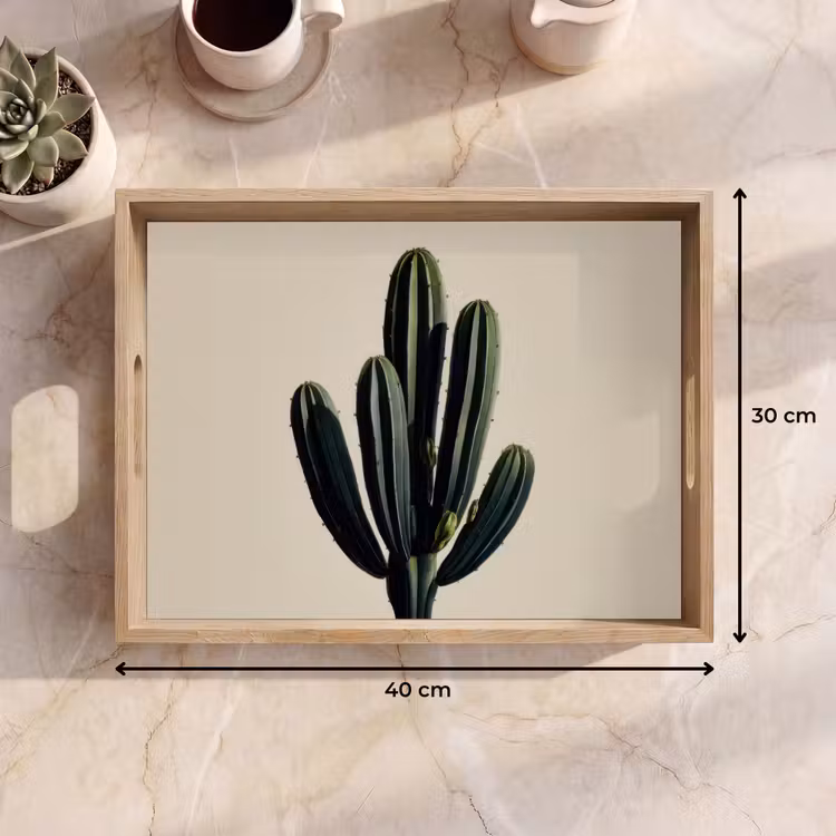 Plateau - Cactus - Subtil - Vert — 7