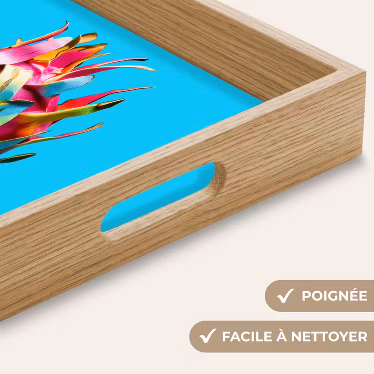 Plateau - Fruit du dragon - Bleu - Vivid — 8