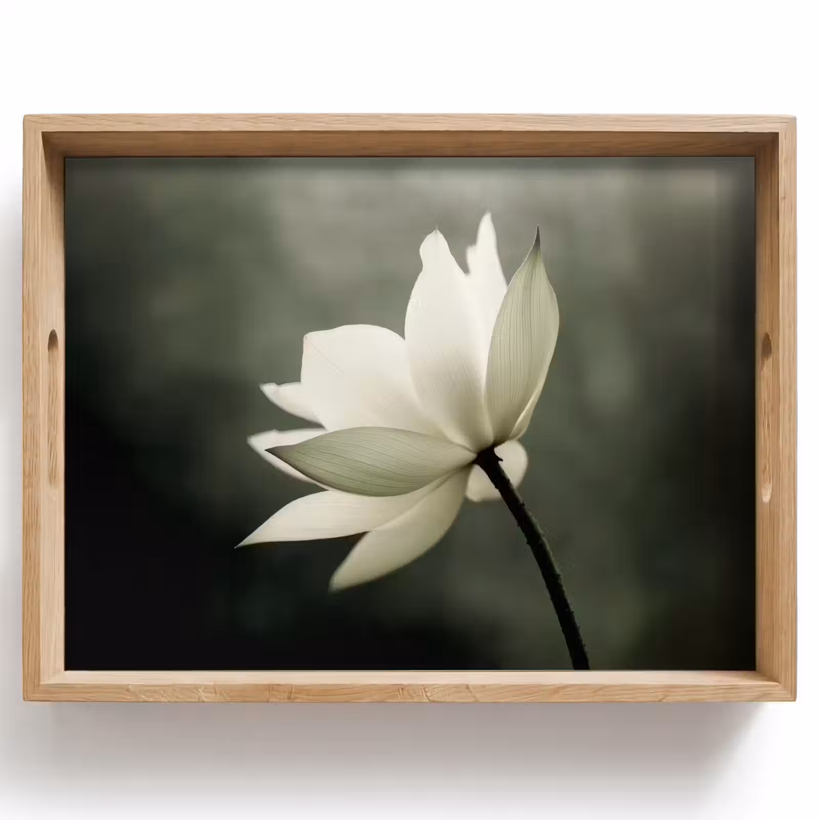 Plateau - Blanc - Lotus - Foncé - Fleur — 1