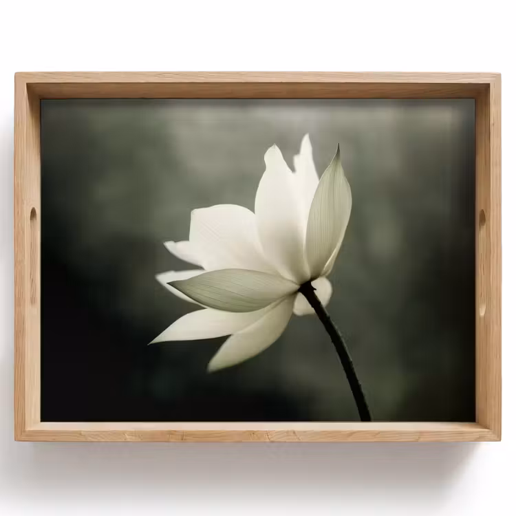 Plateau - Blanc - Lotus - Foncé - Fleur — 1