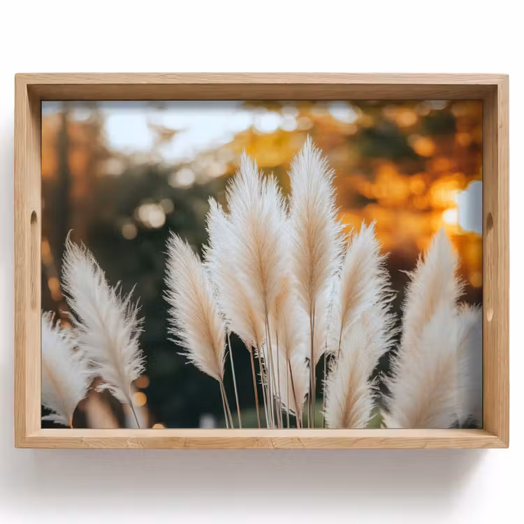 Plateau - Herbe de la pampa - Plumes - Ornementales — 1