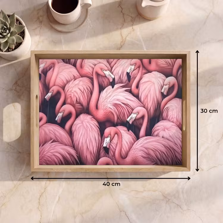 Plateau - Flamant - Rose - Animaux — 7
