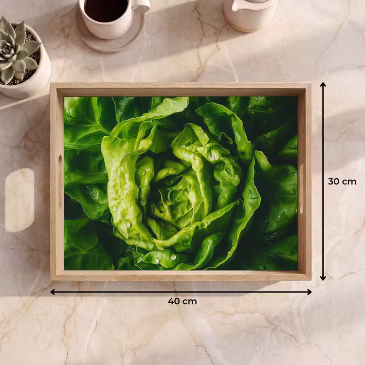 Plateau - Légumes - Laitue - Verte — 7