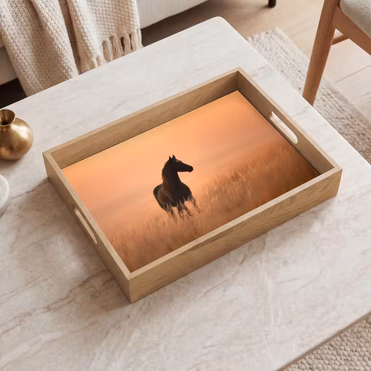 Plateau - Cheval - Pelouse - Coucher de soleil — 2