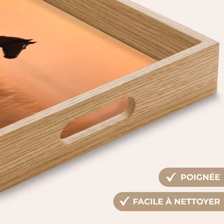 Plateau - Cheval - Pelouse - Coucher de soleil — 8