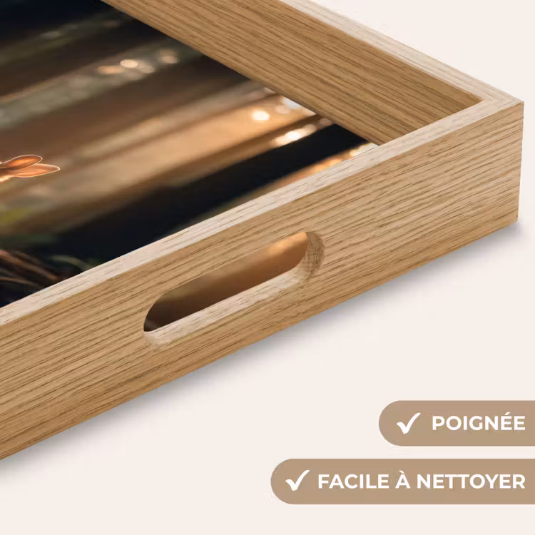 Plateau - Lapin - Forêt - Rayons de soleil — 8