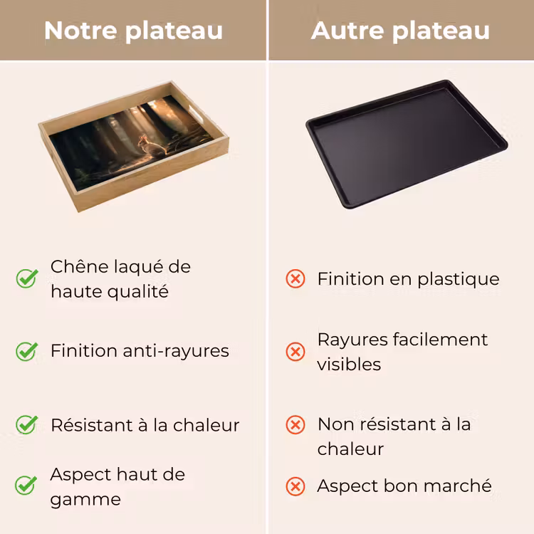 Plateau - Lapin - Forêt - Rayons de soleil — 9