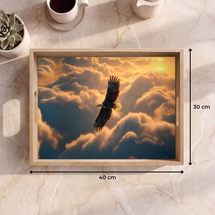 Plateau - Aigle - Nuages - Soleil — 7