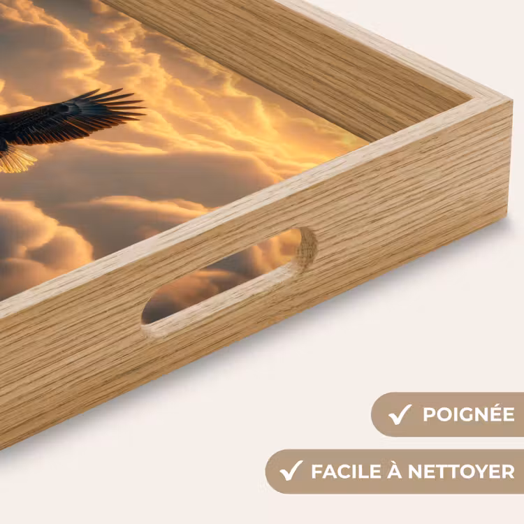 Plateau - Aigle - Nuages - Soleil — 8