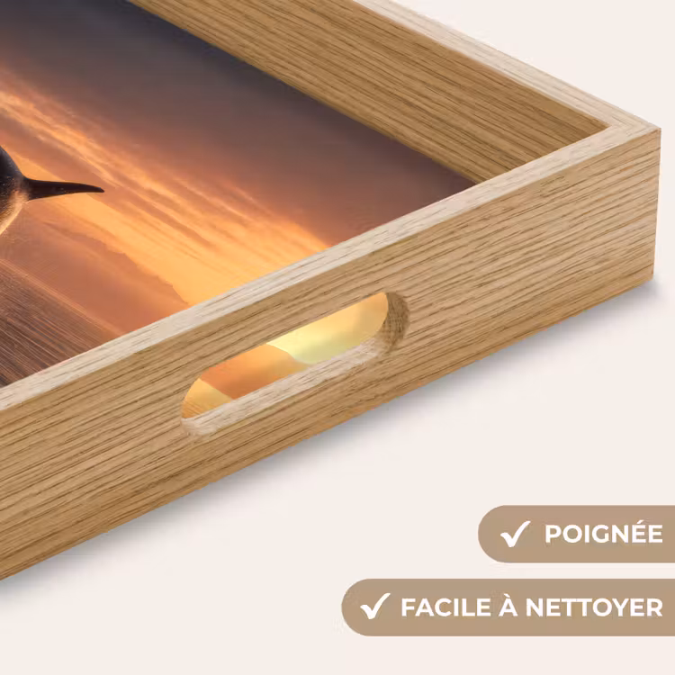 Plateau - Orque - Mer - Coucher de soleil — 8