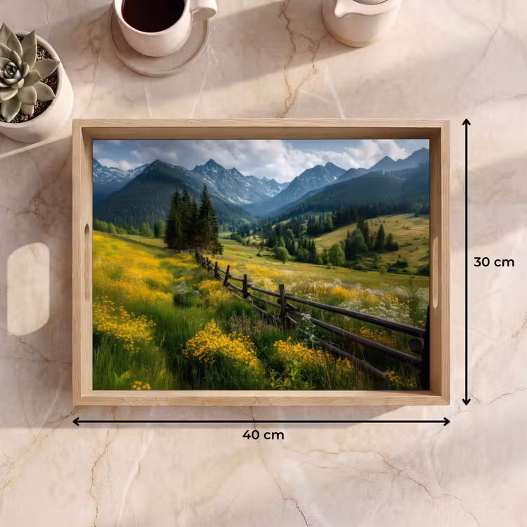 Plateau - Champ - Clôture - Montagnes - Fleurs — 7