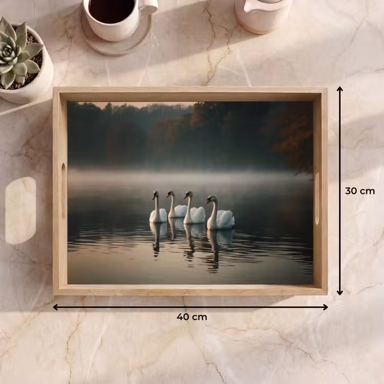 Plateau - Cygnes - Blancs - Eau - Brouillard — 7
