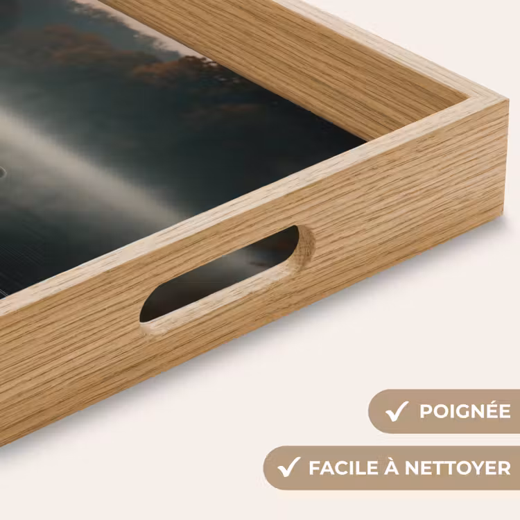 Plateau - Cygnes - Blancs - Eau - Brouillard — 8
