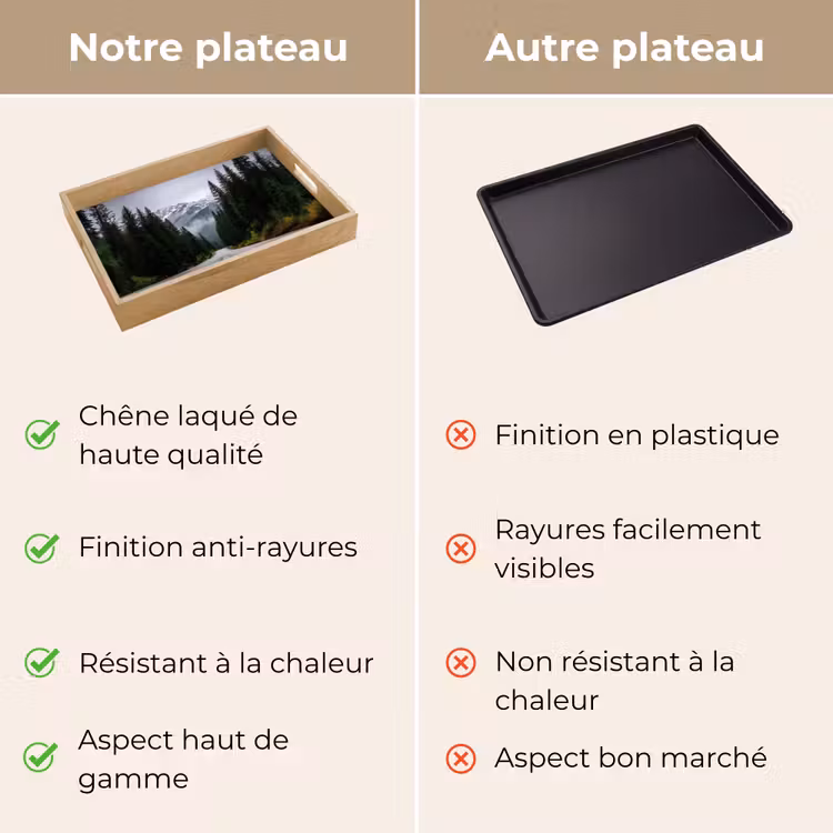 Plateau - Forêt d'épicéas - Route - Montagnes - Neige — 9