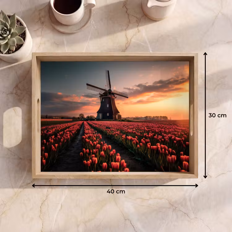 Plateau - Moulin - Coucher de soleil - Tulipes - Rouge — 7