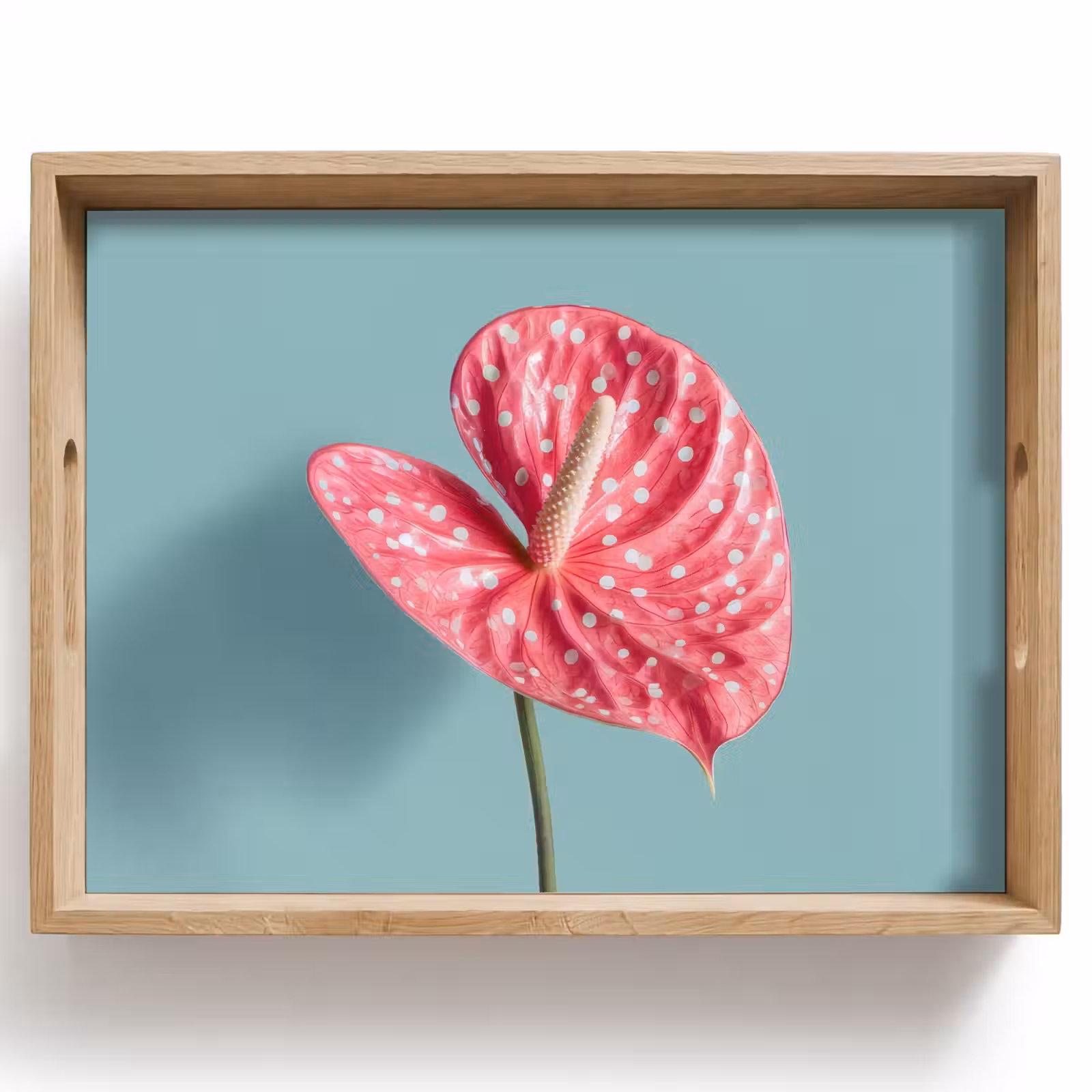 Plateau - Feuille - Anthurium - Points - Rose — 1