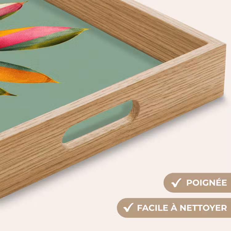 Plateau - Feuilles - Branches - Colorées — 8