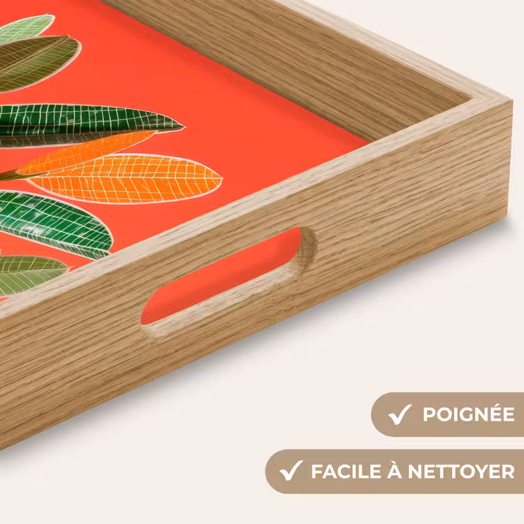 Plateau - Feuilles - Veines - Orange - Texture — 8