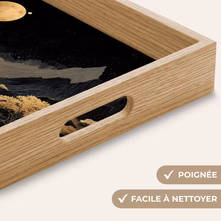 Plateau - Rivière dorée - Montagnes - Lune - Ciel étoilé — 8