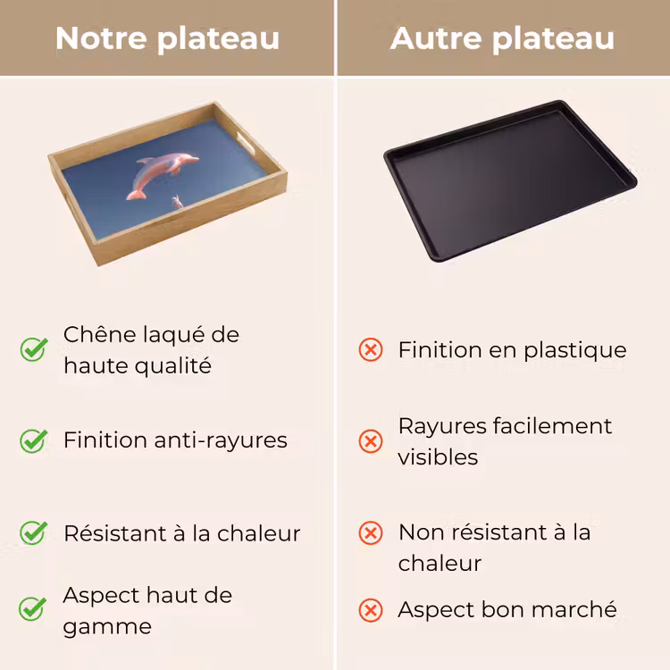 Plateau - Dauphin - Rose - Astronaute — 9