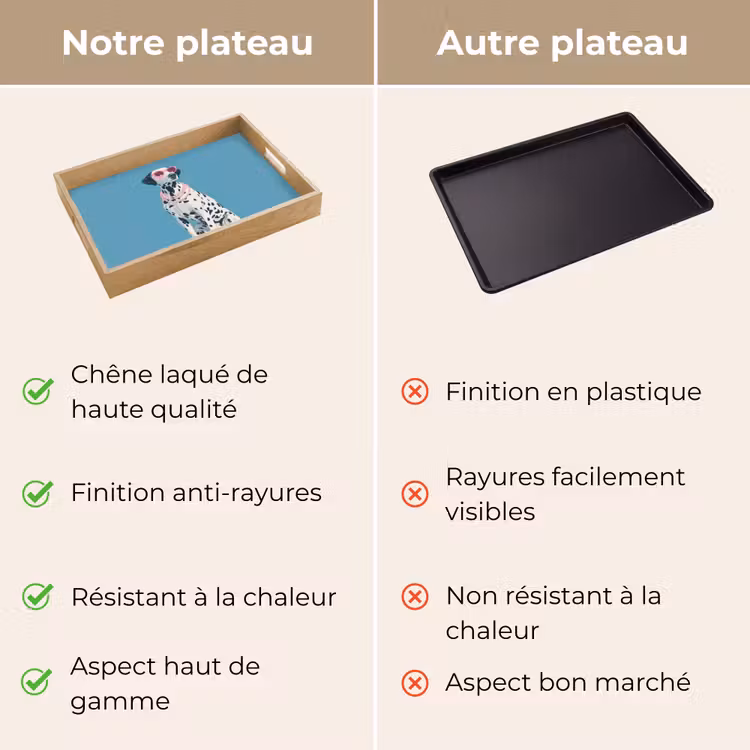 Plateau - Dalmatian - Lunettes de soleil - Bleu — 9