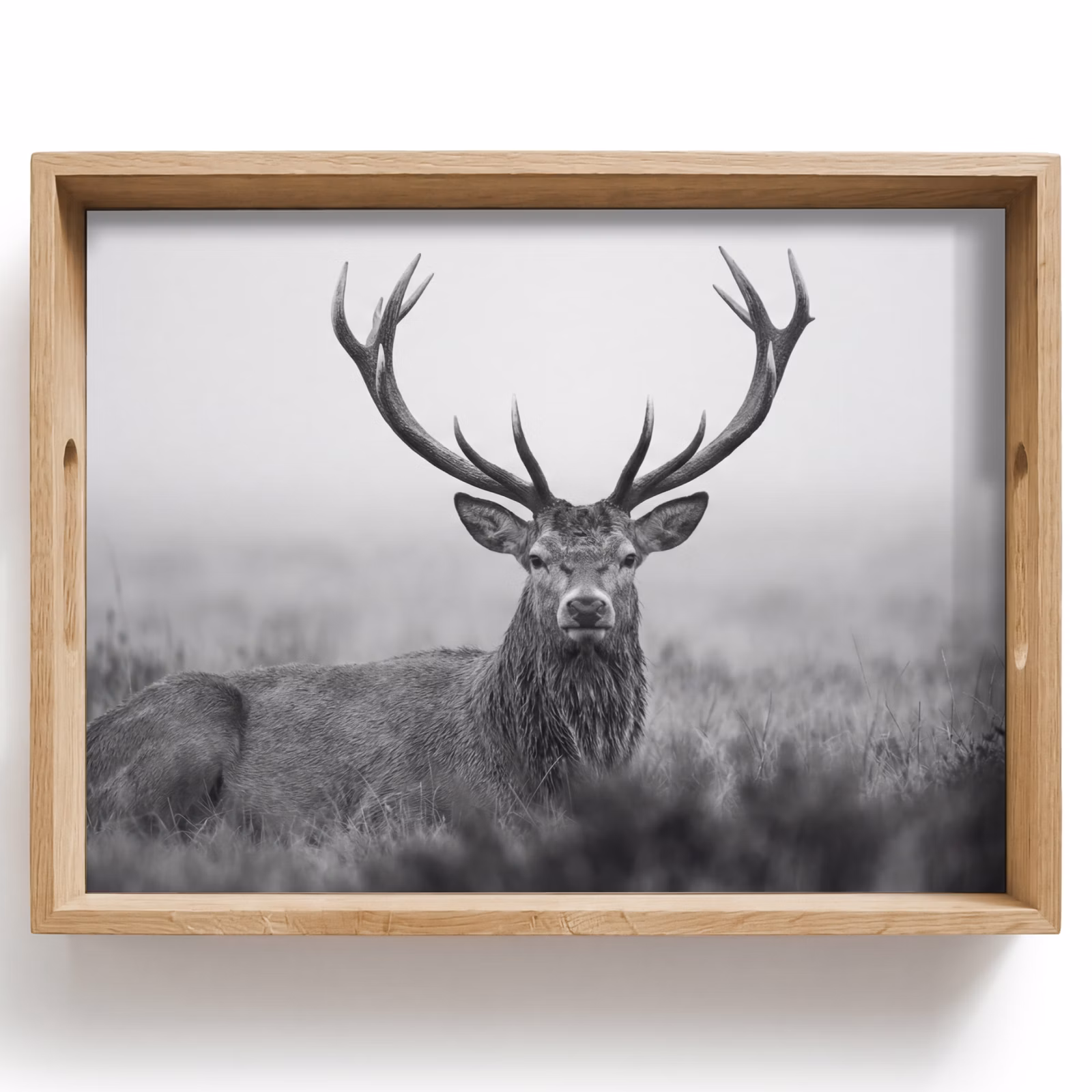 Plateau - Cerf - Brumeux - Noir - Blanc — 1