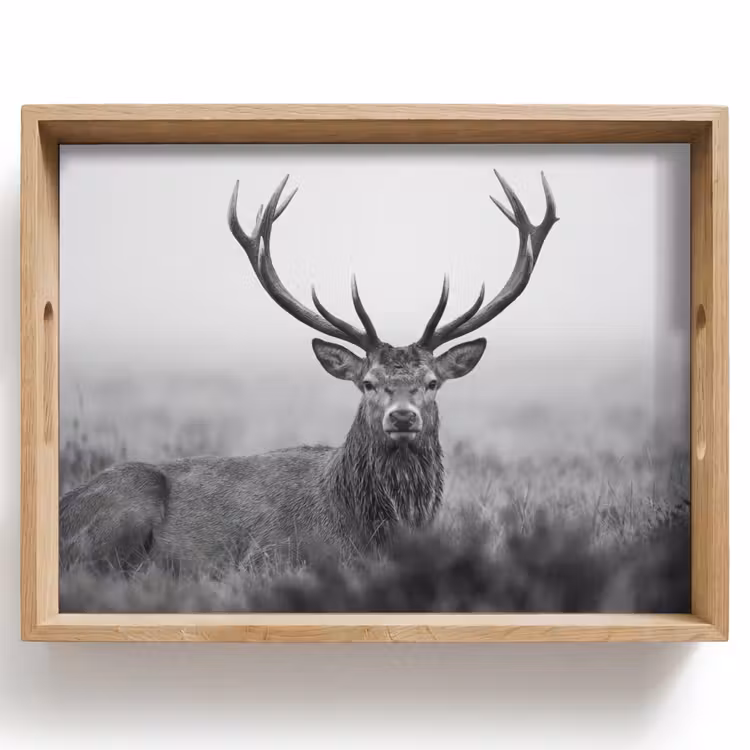 Plateau - Cerf - Brumeux - Noir - Blanc — 1