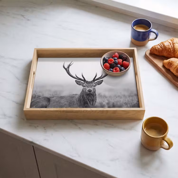Plateau - Cerf - Brumeux - Noir - Blanc — 3