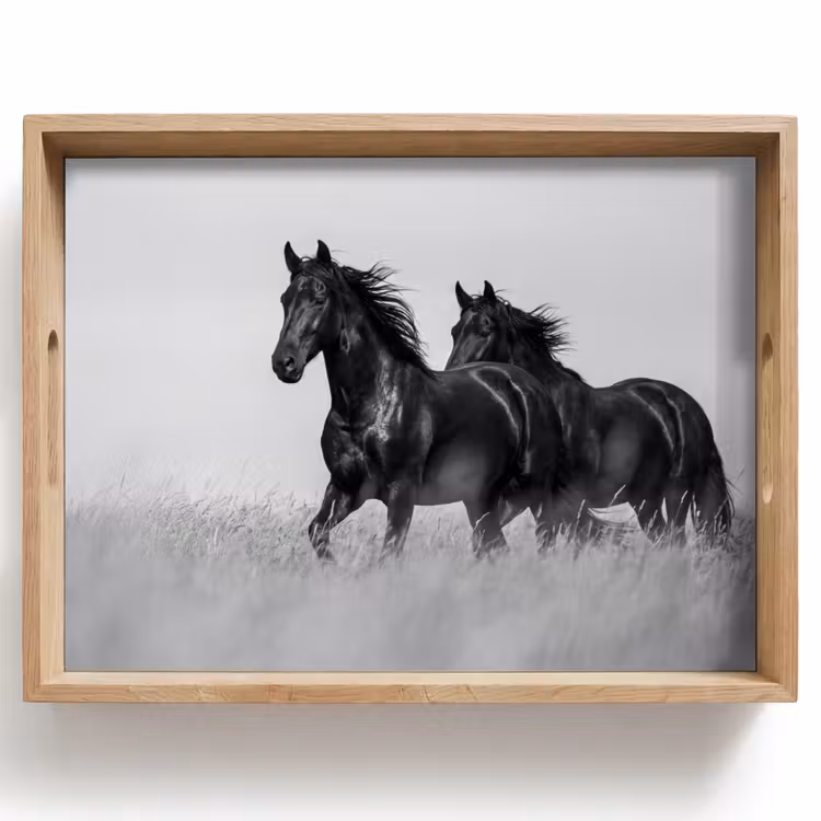 Plateau - Chevaux - Herbe - Noir - Blanc — 1