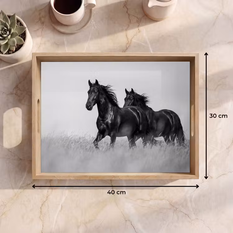 Plateau - Chevaux - Herbe - Noir - Blanc — 7