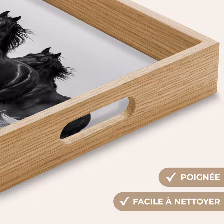 Plateau - Chevaux - Herbe - Noir - Blanc — 8