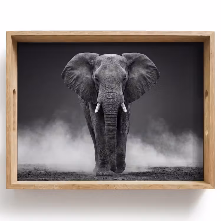 Plateau - Éléphant - Noir - Blanc - Fumée — 1