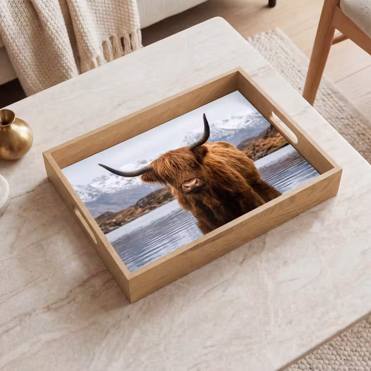 Plateau - Highlander écossais - Marron - Eau — 2
