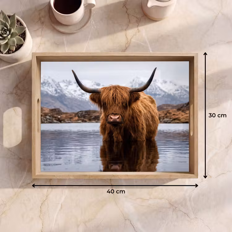 Plateau - Highlander écossais - Marron - Eau — 7