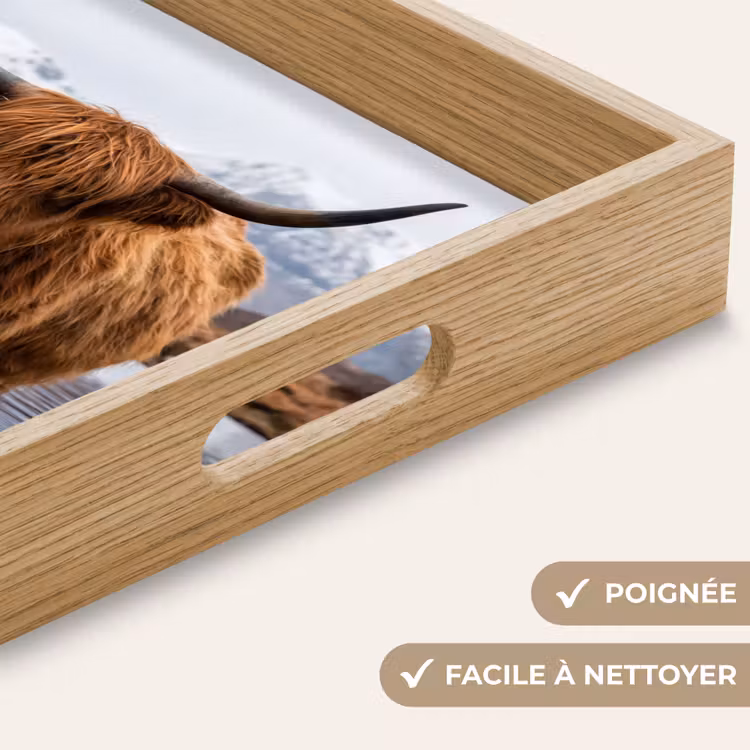Plateau - Highlander écossais - Marron - Eau — 8
