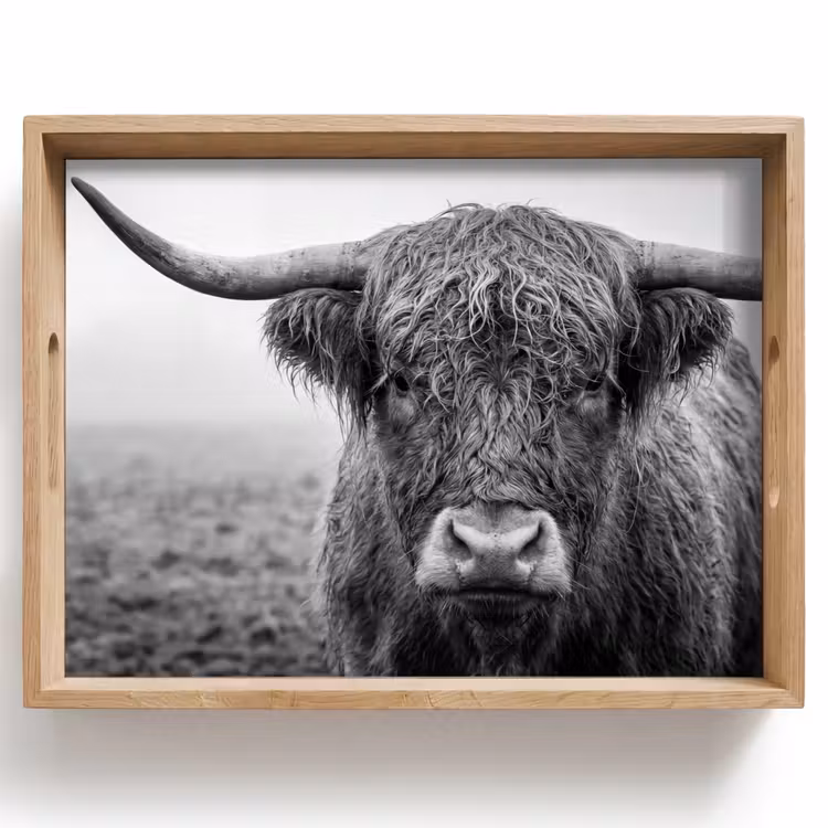 Plateau - Highlander écossais - Noir - Blanc - Herbe — 1