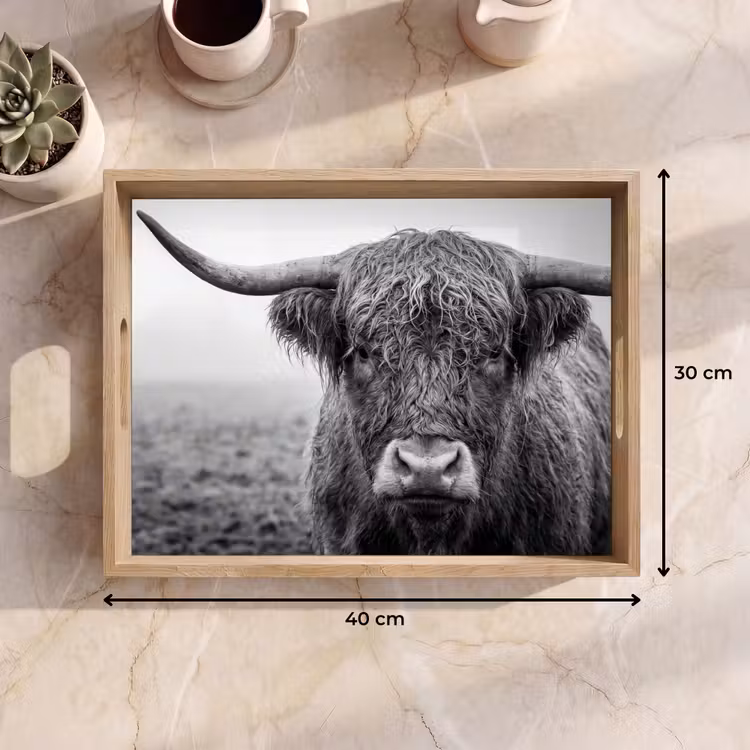 Plateau - Highlander écossais - Noir - Blanc - Herbe — 7