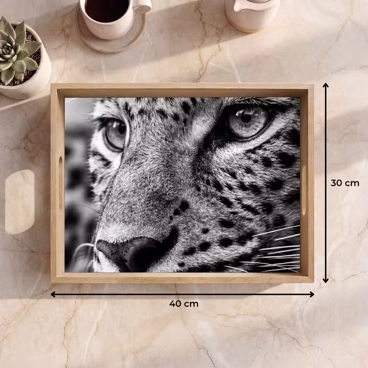 Plateau - Léopard - Noir - Blanc - Oeil — 7