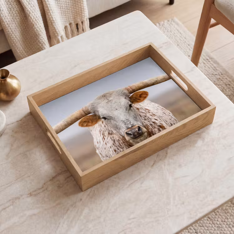 Plateau - Longhorn - Champ d'herbe - Animal — 2