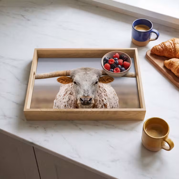 Plateau - Longhorn - Champ d'herbe - Animal — 3